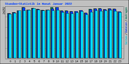Stunden-Statistik im Monat Januar 2022