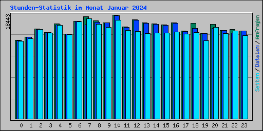 Stunden-Statistik im Monat Januar 2024