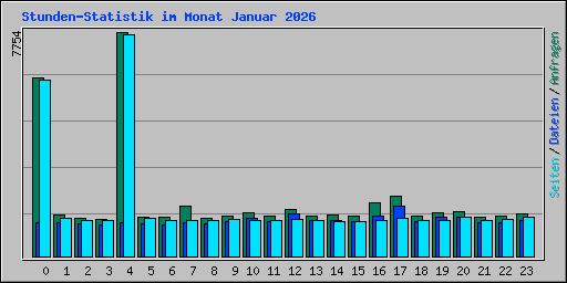 Stunden-Statistik im Monat Januar 2026
