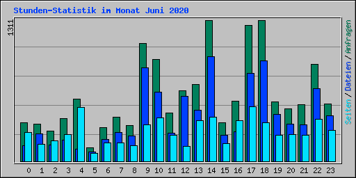 Stunden-Statistik im Monat Juni 2020