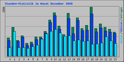 Stunden-Statistik im Monat Dezember 2020