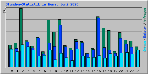 Stunden-Statistik im Monat Juni 2026